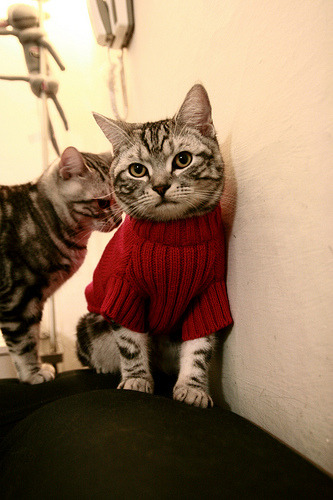 金字塔尖的压哨绝杀,埃及的生死时刻