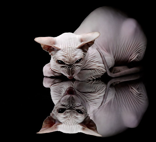 活塞灵魂穿越二十年，恩比德化身怒吼天尊谱写新蓝领传奇